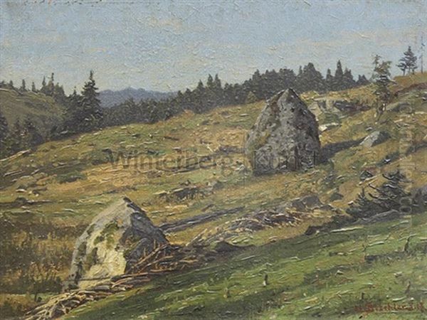 Steiniger Hang Am Feldberg Oil Painting by Hermann Dischler