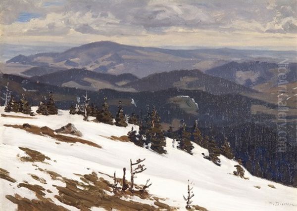 Tauwetter Mit Schneeresten Auf Dem Feldberg Oil Painting by Hermann Dischler