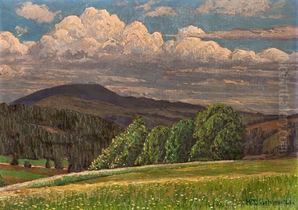 Bluhende Wiesen: Schwarzwald Oil Painting by Hermann Dischler