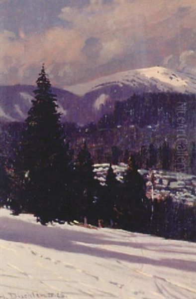 Seebuck - Feldberg, Schwarzwald Oil Painting by Hermann Dischler