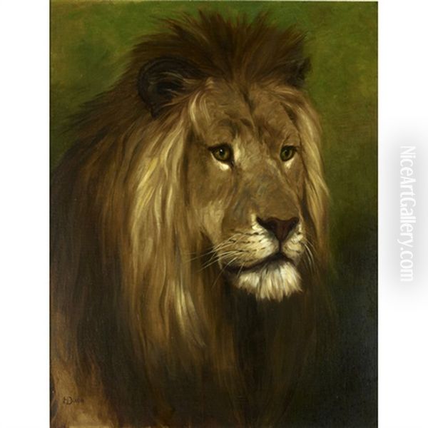 Lion Majesty Oil Painting by Harry Dixon