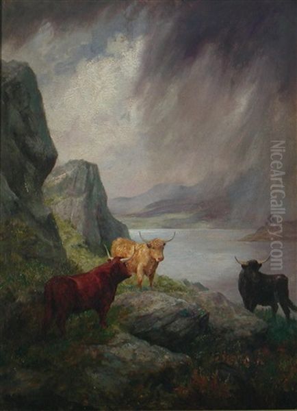 Highland Cattle Oil Painting by Harry Dixon