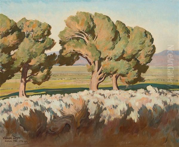 Summer Cottonwoods Oil Painting by Maynard Dixon