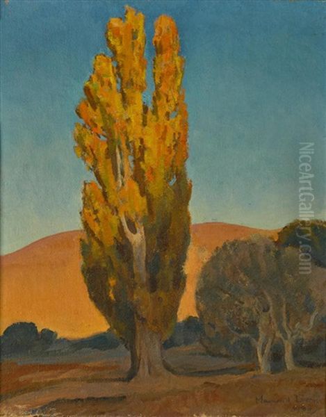 Shifting Light On A Poplar Oil Painting by Maynard Dixon