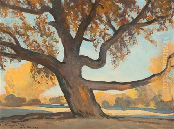 Old Tree Oil Painting by Maynard Dixon