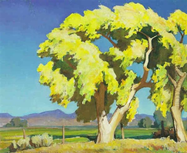 Young Cottonwoods Oil Painting by Maynard Dixon