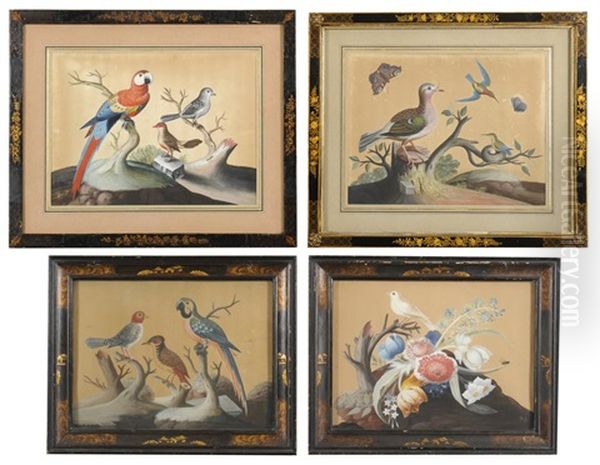 Foreign And Domestic Birds (set Of 4) Oil Painting by Samuel Dixon