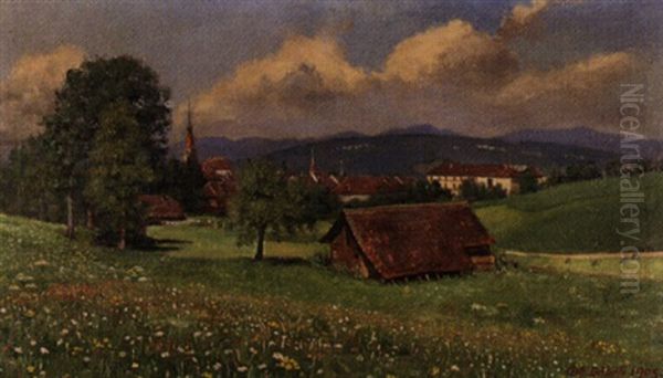 Villa Fadengrad (zofingen) Oil Painting by Johann Othmar Doebeli