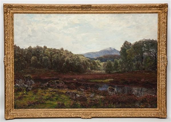 The Rob Roy Burn, Wiith Ben More In The Distance Oil Painting by Alexander Brownlie Docharty