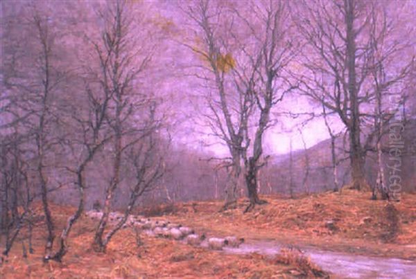 A Woodland Road, Springtime Oil Painting by Alexander Brownlie Docharty