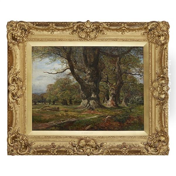 Sheep In An Oak Woodland Oil Painting by James Docharty