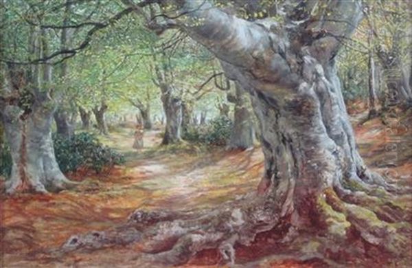 Path Through The Beech Wood Oil Painting by James Docharty