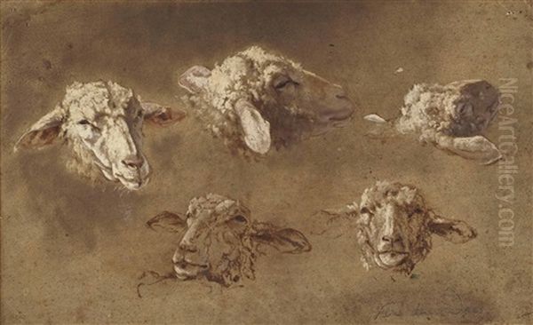 Five Studies Of The Head Of A Sheep Oil Painting by Simon van der Does