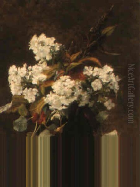 Flowers In A Black Vase Oil Painting by Augusta Dohlmann