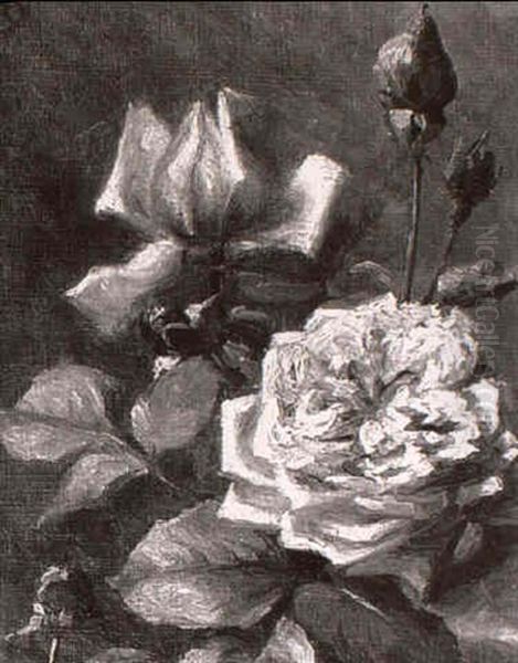 Rosa Rosen Oil Painting by Augusta Dohlmann