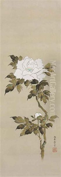 White Peony by Sakai Doitsu