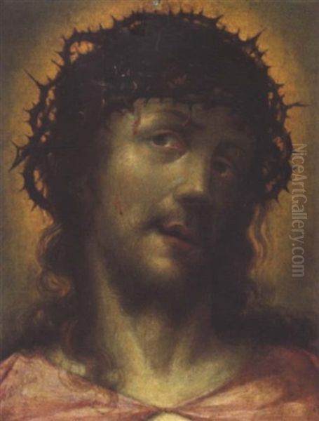 Das Haupt Christi Oil Painting by Carlo Dolci