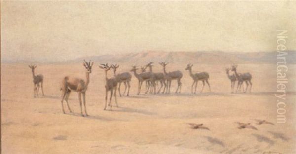 Springbok And Sand Grouse Oil Painting by John Charles Dollman