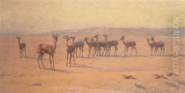 Springbok Oil Painting by John Charles Dollman