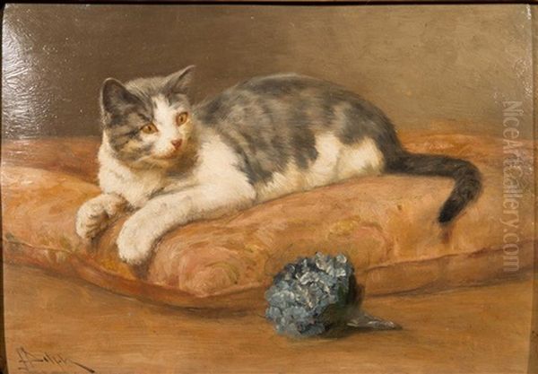 Study Of A Cat Oil Painting by John Henry Dolph