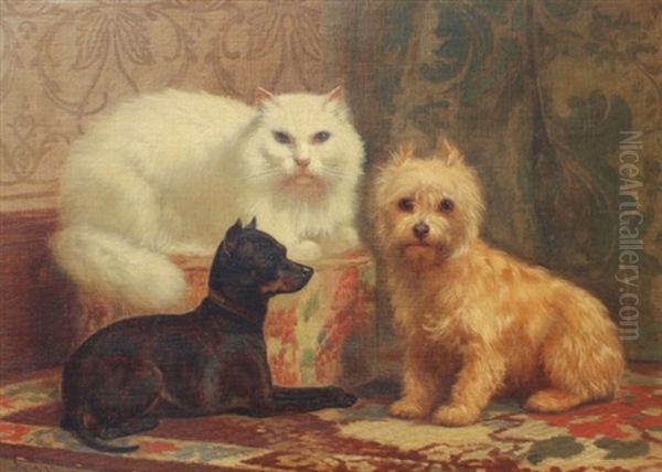 Animal Portrait Of Persian Cat, Miniature Pinscher, And Terrier Oil Painting by John Henry Dolph