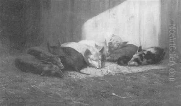 Piglets Napping In A Barn Oil Painting by John Henry Dolph