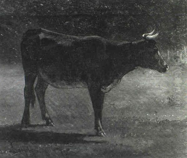 Bull In A Pasture Oil Painting by John Henry Dolph