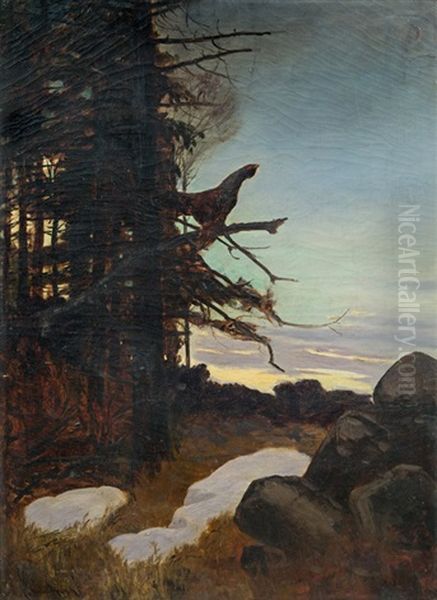 Forest Glade With Capercaillie Cock by Carl von Dombrowski