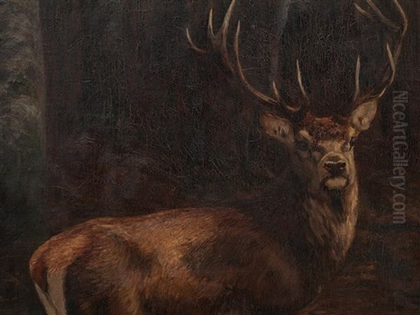 Stag In A Wallow by Carl von Dombrowski