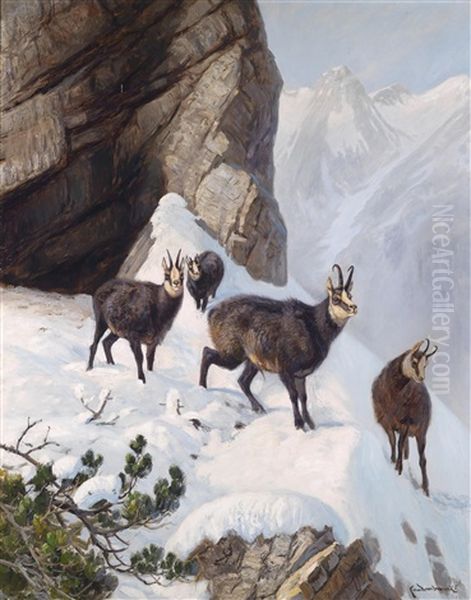 Gemsen Im Hochgebirge by Carl von Dombrowski