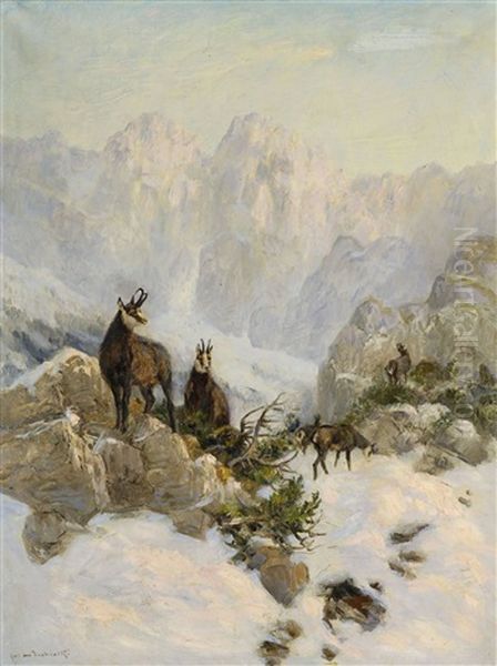 Gamswild In Winterlicher Gebirgslandschaft by Carl von Dombrowski