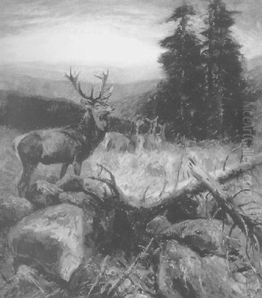 Kapitaler Hirsch Mit Kleinem Kahlwildrudel Im Schwarzwald Oil Painting by Carl von Dombrowski