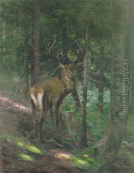 Hirsch Im Schattigen Tannenwald Oil Painting by Carl von Dombrowski