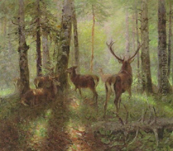 Hirsch Mit Rudel Auf Einer Waldlichtung by Carl von Dombrowski