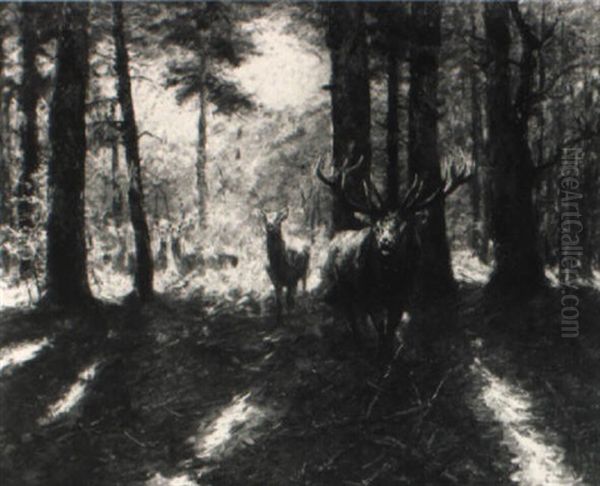 Hirschbrunftrudel Im Herbstwald Oil Painting by Carl von Dombrowski