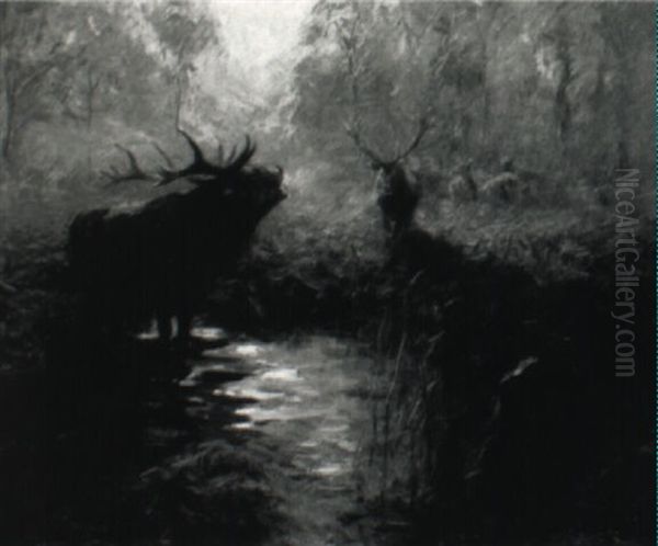 Hirsch Im Wald Oil Painting by Carl von Dombrowski