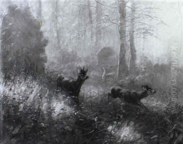 Rehe Im Wald Oil Painting by Carl von Dombrowski