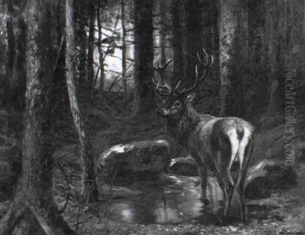 Hirsch An Der Tranke Oil Painting by Carl von Dombrowski