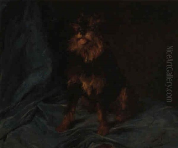 Perro Yorkshire Oil Painting by Francisco Domingo Marques