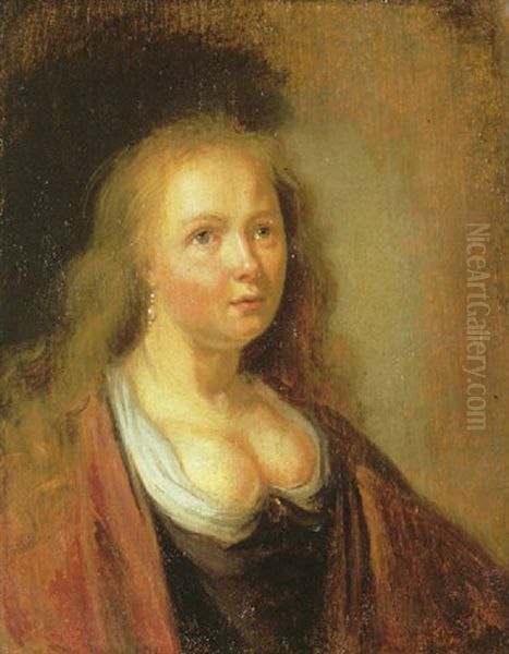 Portrait Of A Young Woman Wearing A Black Dress And Brown Coat Oil Painting by Gerrit Dou