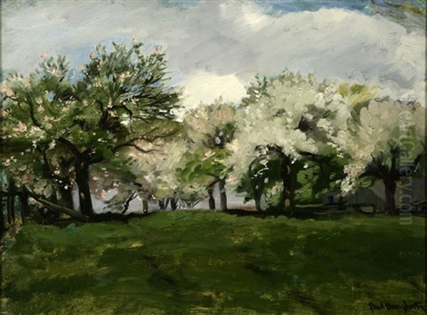 Flowering Fruit Trees, Carmel Oil Painting by Paul Dougherty