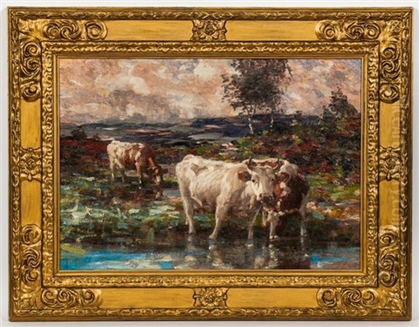 Cattle Drinking Oil Painting by Andrew Douglas