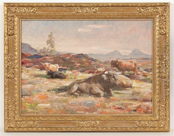 Highlnd Cattle, On The Moor (with Canisp And Suilven In The Distance) Oil Painting by Andrew Douglas