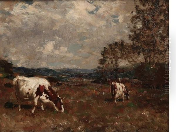 Cattle In Meadow Oil Painting by Andrew Douglas