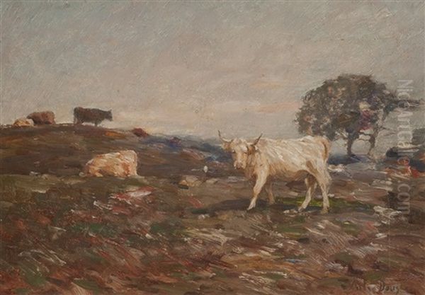 Cattle On The Perthshire Hills Oil Painting by Andrew Douglas