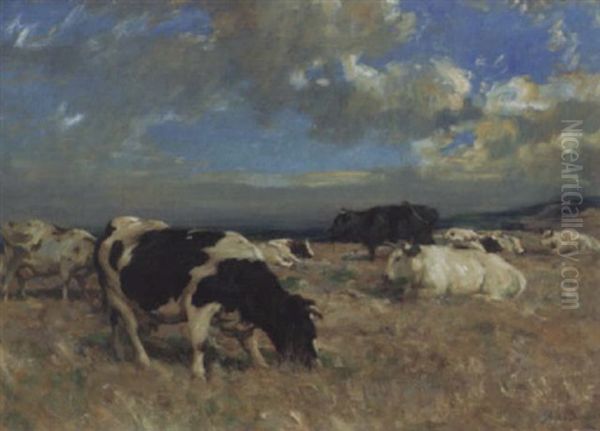 Cattle In The Highlands Oil Painting by Andrew Douglas