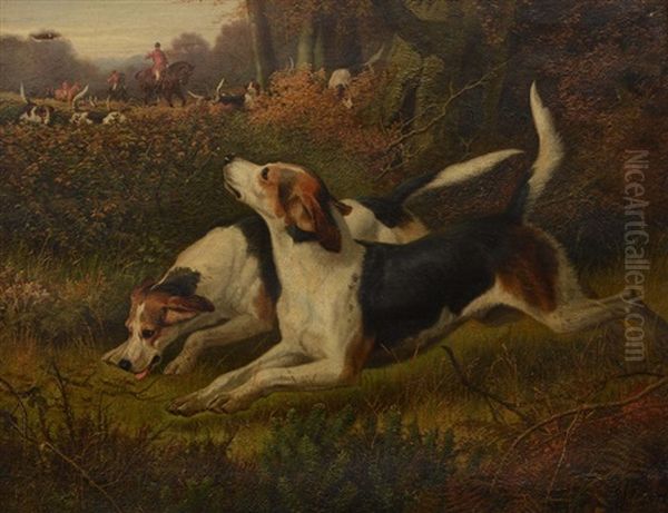 Foxhounds On The Scent Oil Painting by Edward Algernon Stuart Douglas