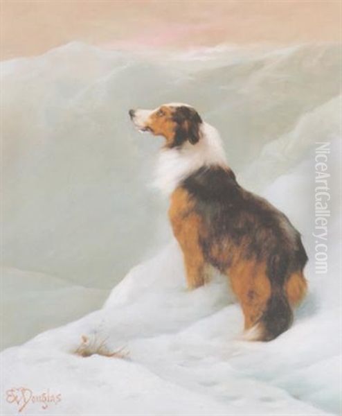 A Collie In A Winter Landscape Oil Painting by Edwin Douglas