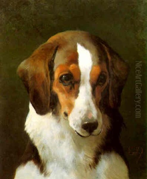 A Hound Oil Painting by Edwin Douglas