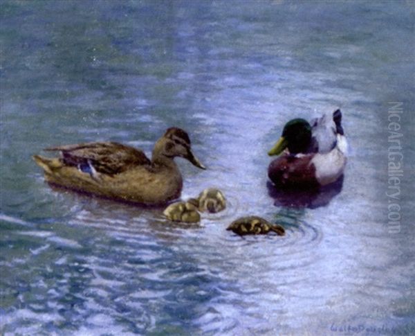 Ducks In A Pond Oil Painting by Walter Douglas